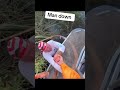 Man down!!!! #jetski #jetskicrash #alligator #floridaman #pontoon #lakegeorge #mandown