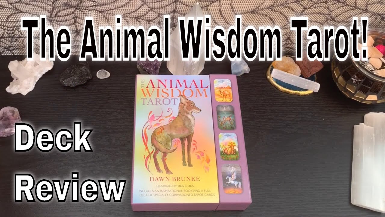 Animal Wisdom Tarot Deck & Guidebook Set - Complete Boxed Collection For Spiritual Reading