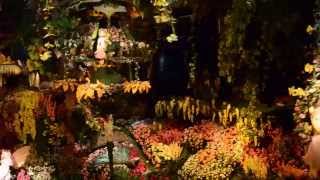 Droomvlucht-Winter Efteling 2014