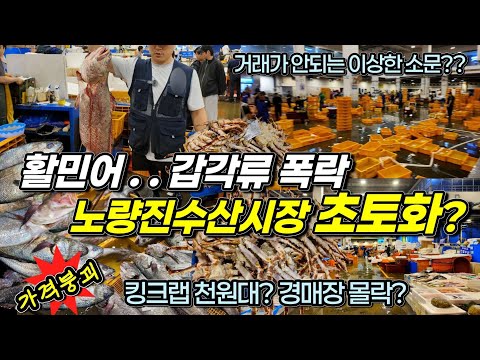 통제불가 감당 안되는 노량진수산시장 상황? 킹크랩 똥값 가격붕괴? 민어값 지난주 대비 50% 폭락! 수산물시장 블랙홀 노량진수산시장 이러다 퇴출??