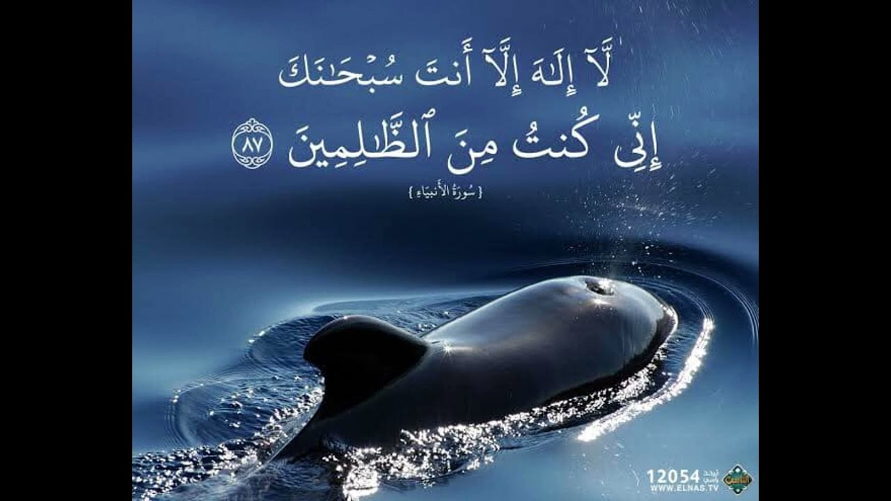 لَا إِلَهَ إِلَّا أَنْتَ سُبْحَانَكَ إِنِّي كُنْتُ مِنَ الظَّالِمِينَ