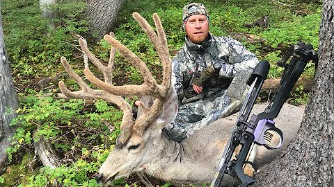 Utah Archery Big Mule Deer General Season