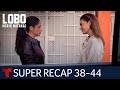 Lobo, Morir Matando: super recap, episodes 38 to 44 | Telemundo English