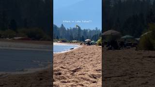 Otters swimming  in Lake Tahoe 🦦