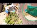 Building a Sun Shade for a Tomato Garden (no talking)