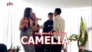 Camelia  Puja Adelia X Siti Zahra  Cover   Tb 