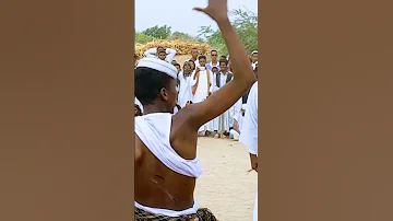الفنان طلال المحسي 