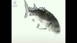 Video thumbnail of "Don’t cry I’m just a fish 😔🖐"