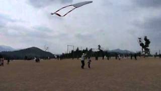 アンパンマンのふとん凧、登場！