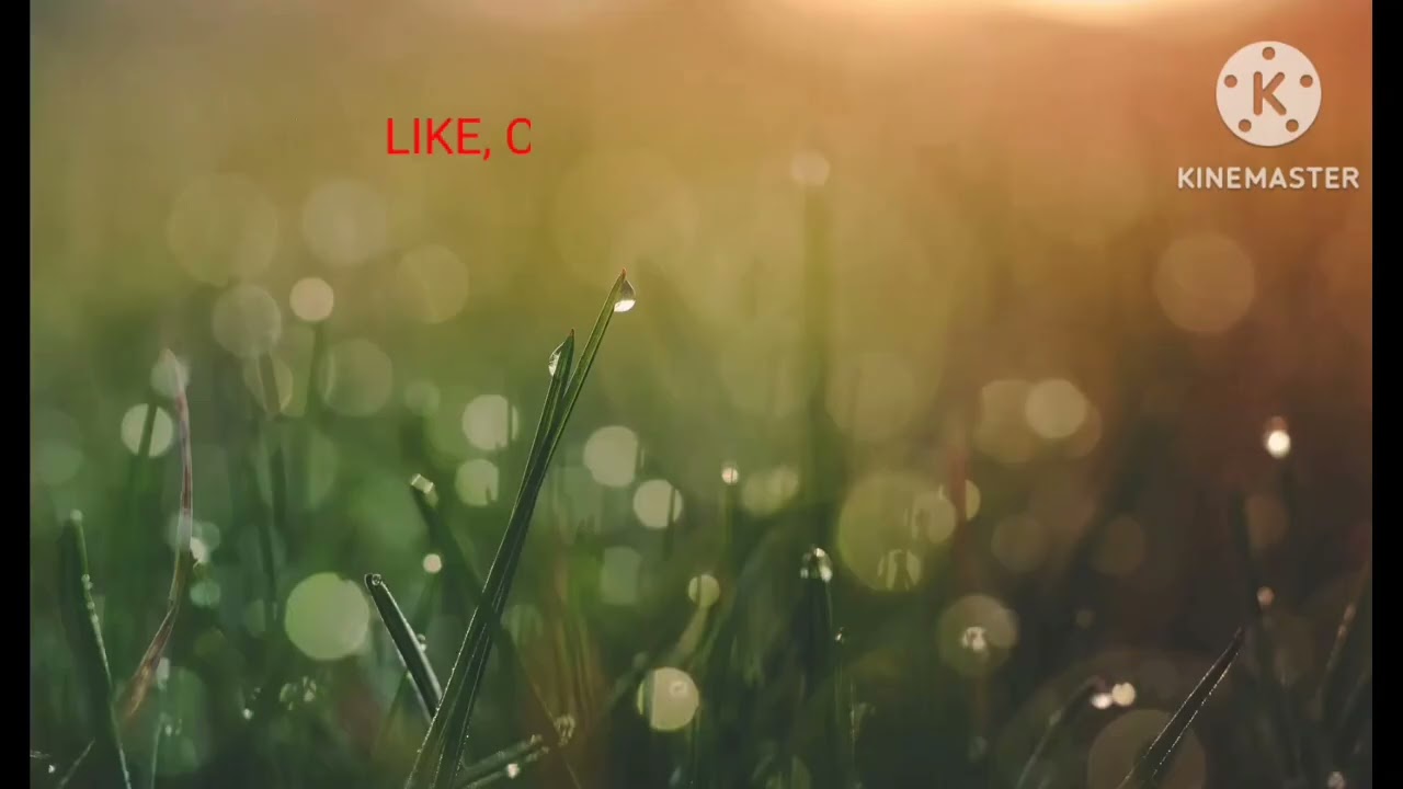 GROOVEPAD JAZZ HOP ANDY BROOKES