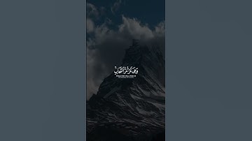 وترى الجبال تحسبها جامدة ｜ القارئ عبدالرحمن مسعد 🎙