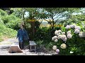 It starts to feel like home. RENOVATION of old house. 錆びたドアと戸袋を直す -story4