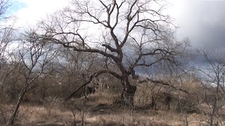 Інший світ поруч. Зруйнована пам'ятка архітектури - школа Сластіона