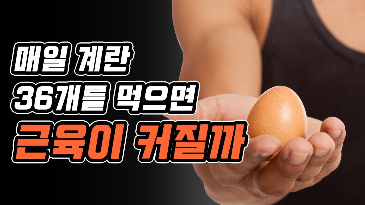매일 계란 36개를 섭취하면 근육성장에 얼마나 도움이 될까? feat. 노른자의 힘