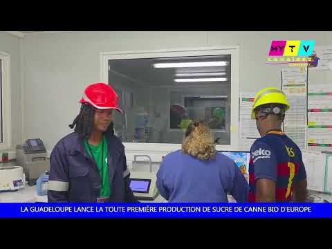 La Guadeloupe lance la toute première production de sucre de canne bio d'Europe