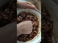 Etli biber dolması 