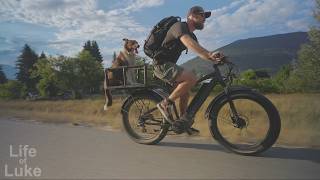 Building a Dog Box for a Bike