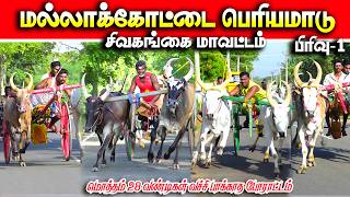 மல்லாக்கோட்டை பெரியமாடு பந்தயம் 06.07.2026