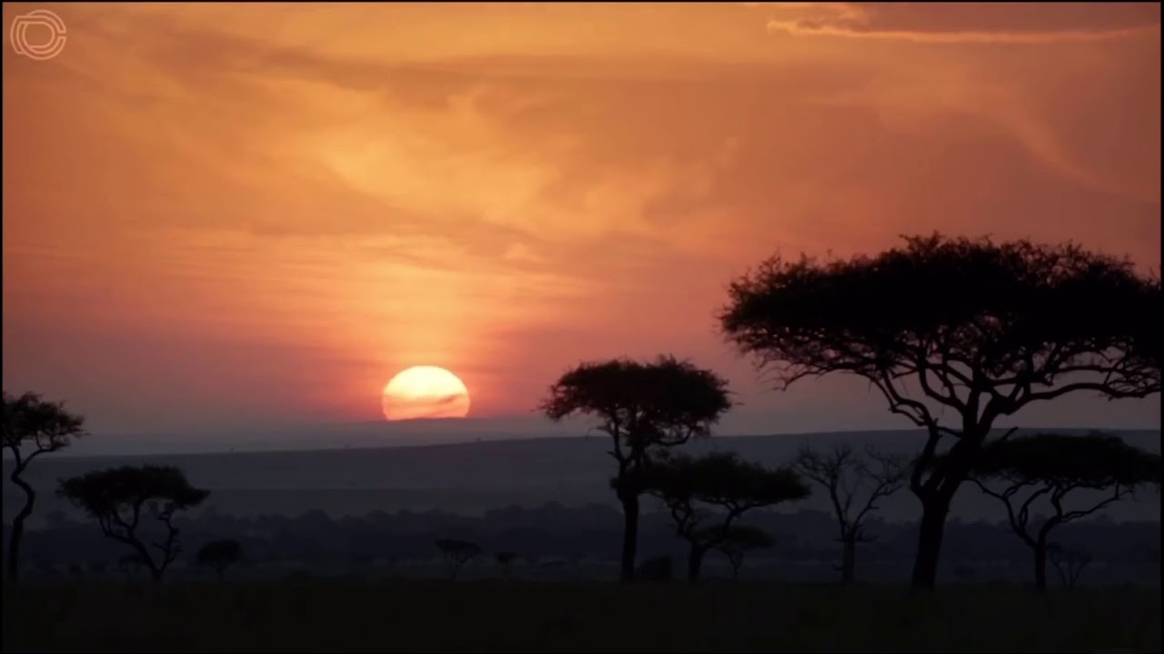 The Lion King 2019 The Circle Of Life Scene Hd Youtube The Lion King 2019 The Circle Of Life Scene Hd Youtube