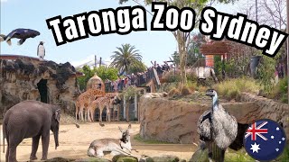 Full Guide Taronga Zoo Sydney Australia Tour