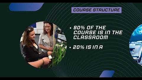 T Level - Digital Support Services