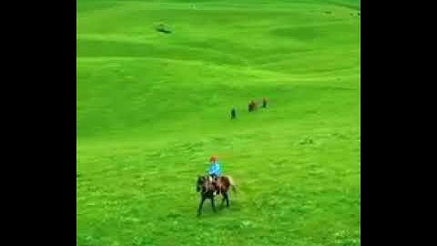 سورة الشمس القارئ هشام الهراز حفظه الله