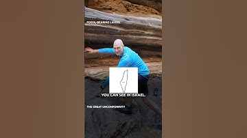 Evidence for the Global Flood