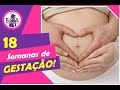 Seu bebê com 18 SEMANAS DE GESTAÇÃO? | 5 MESES - Confira!