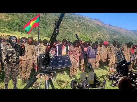 ODUU Ammee November 20 2025 Injifannoo Waraana Bilisummaa Oromo MilkeysaMedia