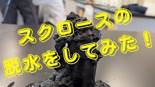 【化学実験】スクロースの脱水（濃硫酸による脱水）