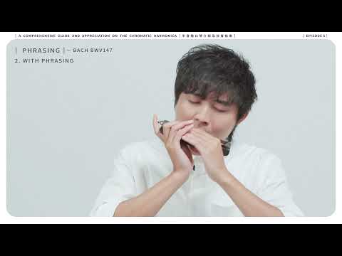 Chromatic Harmonica Tutorial Ep 6 - Articulations on Harmonica