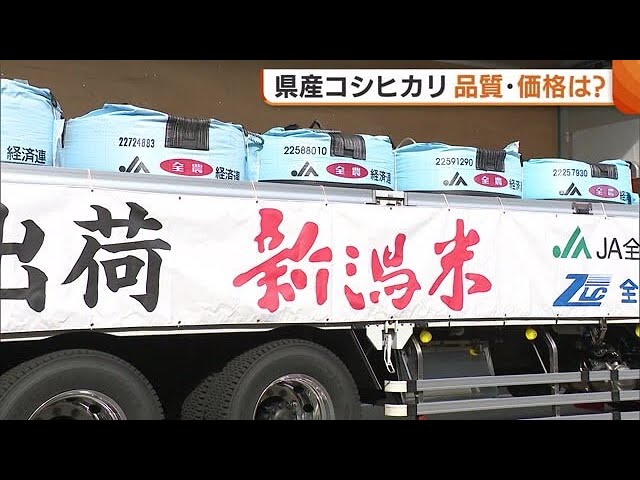New Rice] Quality and Price? Niigata Prefecture Koshihikari Rice