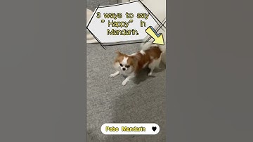 How to say “Happy” in Chinese? #learnchinese #mandarin #chinese #learnmandarinforbeginners #learn