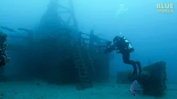 Artificial Reefs:  Shipwrecks become homes for fish!