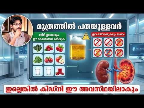 മൂത്രത്തിൽ പതയുണ്ടോ? നിർബന്ധമായും കഴിക്കേണ്ട ഭക്ഷണങ്ങളും ഒഴിവാക്കേണ്ടവയും | കിഡ്നിയെ സംരക്ഷിക്കാം