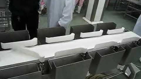 TOUPACK - Multi weight sorting machine of chicken wins