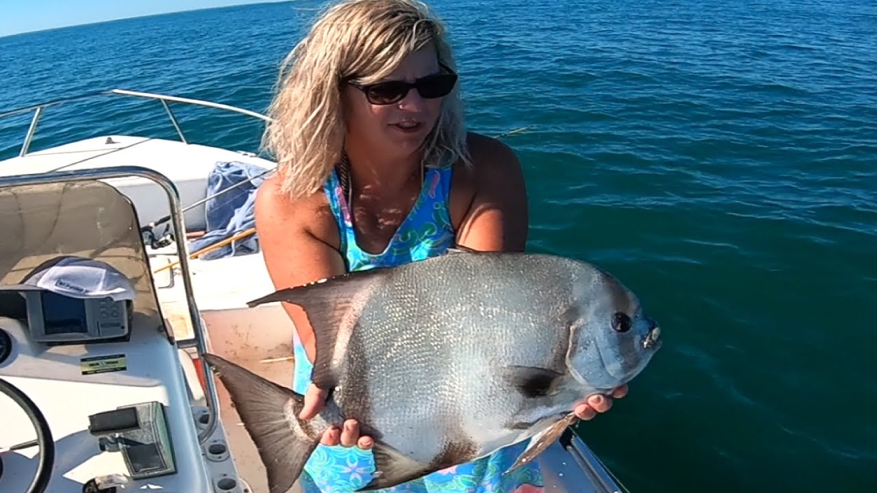 Spadefish Rigs The Best Bait for Catching Spadefish - YouTube