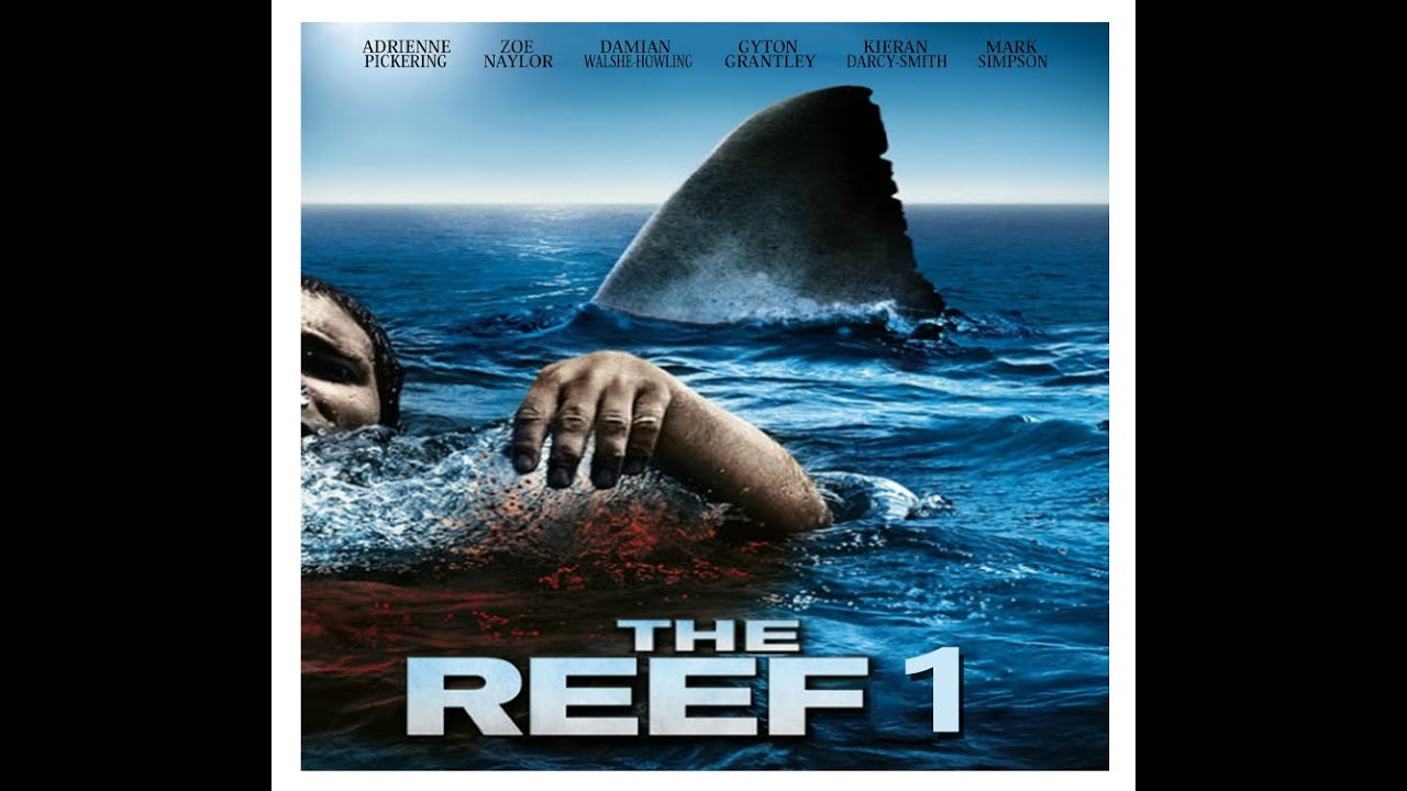 THE REEF 1 - YouTube