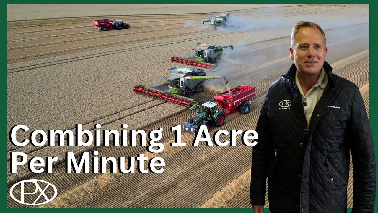 Four Combines, One Mission: Smashing Through the Wheat Before the Rain Hits!