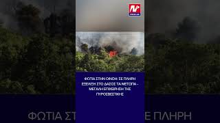 Φωτιά στην Οινόη: Σε πλήρη εξέλιξη στο δάσος τα μέτωπα - Μεγάλη επιχείρηση της Πυροσβεστικής