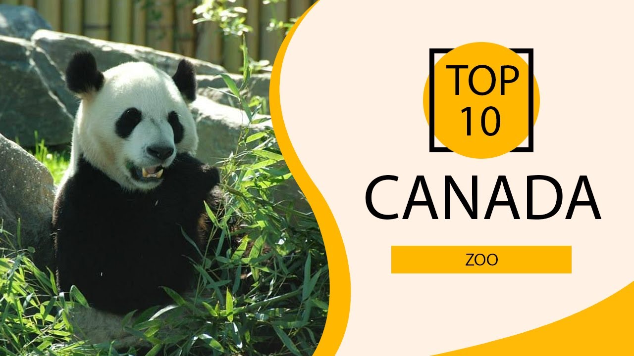 Top 10 Best Zoo to Visit in Canada | Canada - English