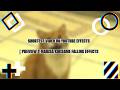 Shortest Video on Youtube Effects | Preview 2 Marisa Kirisame Falling Effects