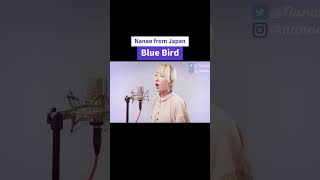 "Blue Bird" — Naruto: Shippuden #Animesong #anison #mesinging #cover #Nanao