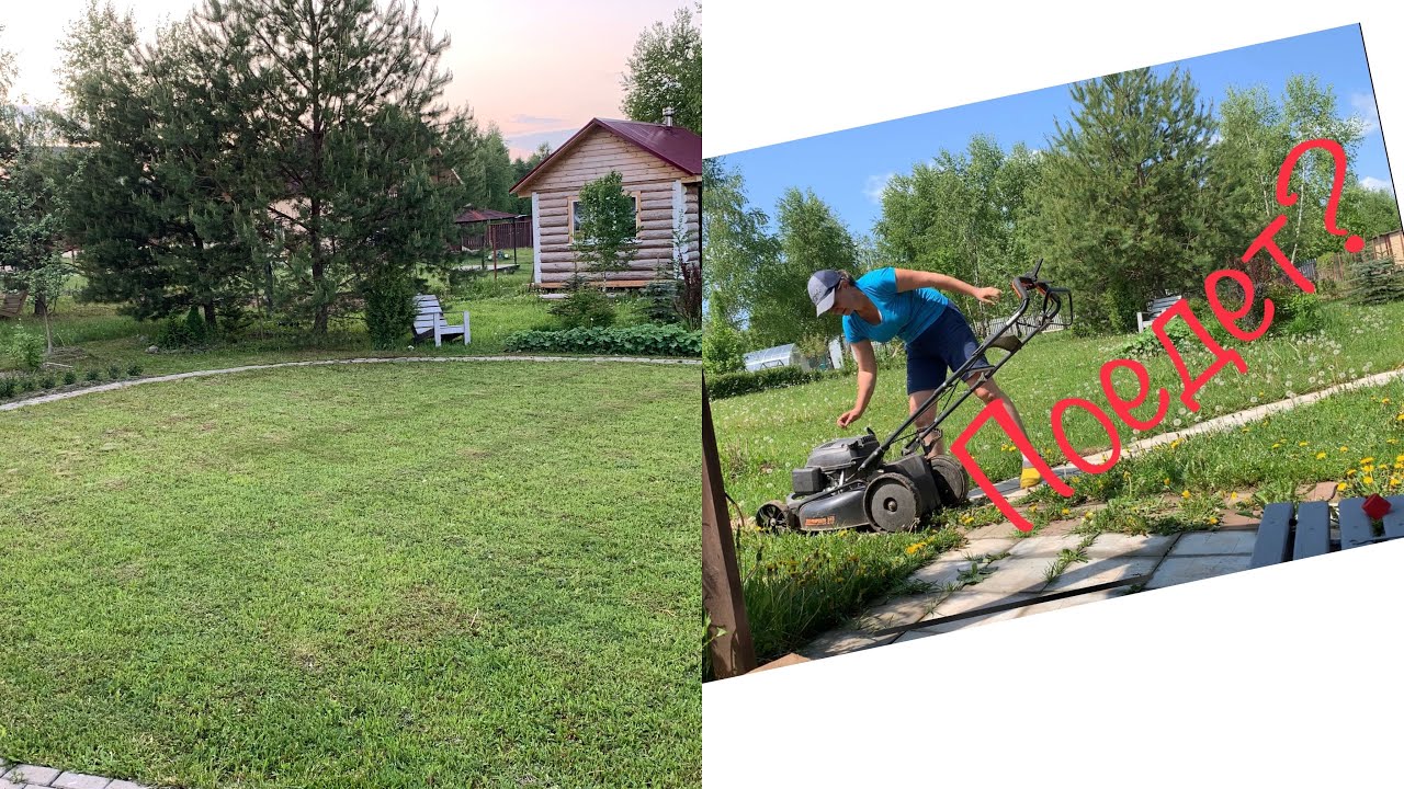 Ремонт косилки. Заменила тросик хода. Муравьи. Скумпия - YouTube