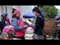 Cải Mèo Cuộn Nấm Nướng Và Phiên Chợ Tây Bắc| Rice in bamboo tubes, northwestern vietnam market !