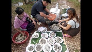 Laos Market - Village Food Market