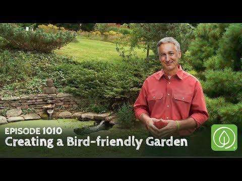 Growing a Greener World Episode 1010: Creating a Bird-friendly Garden, with Margaret Roach