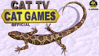 CAT TV | ULTIMATE LIZARD MAZE MANIA 🦎 | CATS GO CRAZY WATCHING! | REALISTIC TAIL MOVEMENT | 4K 60FPS screenshot 5