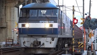 【4K】JR山陽本線 EF210-165号機牽引 遅2073レ貨物列車