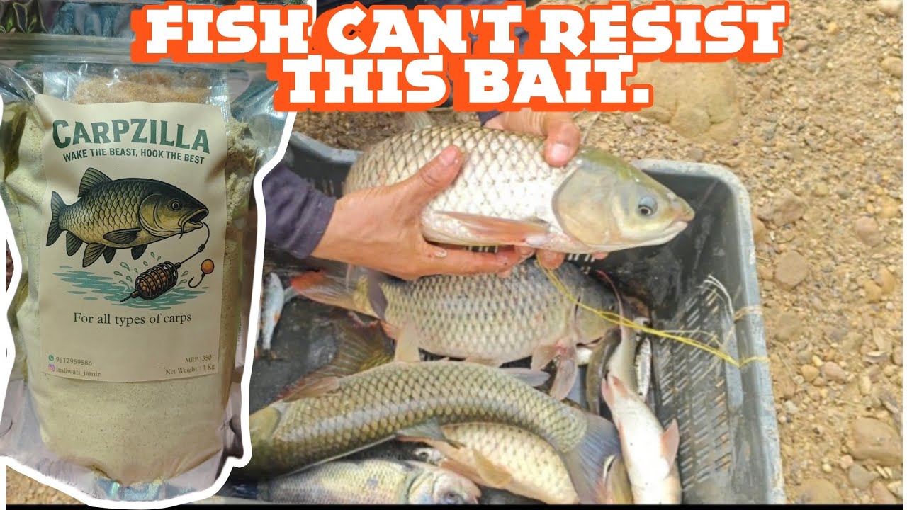 Every Angler Needs THIS Bait – Fish Won’t Stop Biting!
